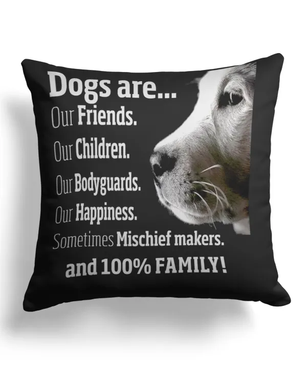 Cotton Drill Pillow (Dual Sided)