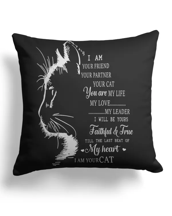 Cotton Drill Pillow (Dual Sided)