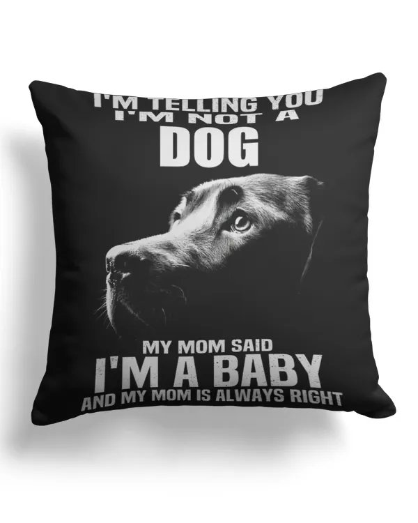 Cotton Drill Pillow (Dual Sided)