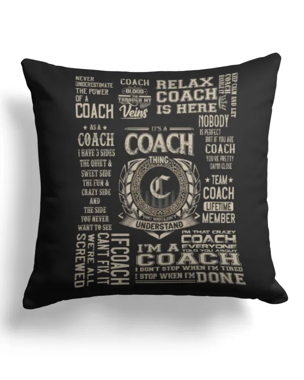 Cotton Drill Pillow (Dual Sided)