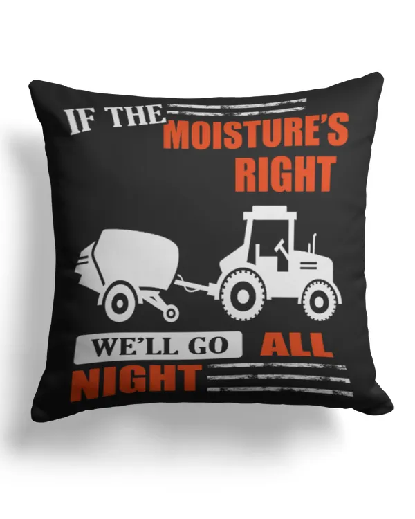 Cotton Drill Pillow (Dual Sided)