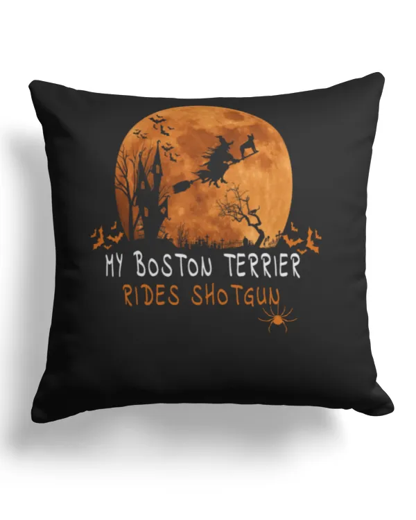 Cotton Drill Pillow (Dual Sided)