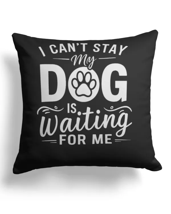 Cotton Drill Pillow (Dual Sided)