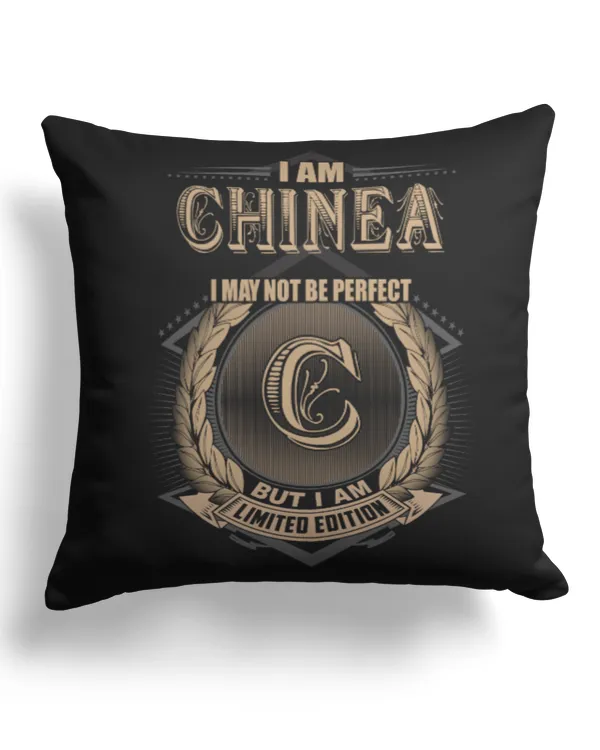 Cotton Drill Pillow (Dual Sided)