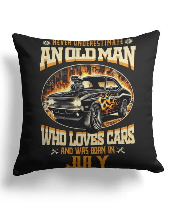 Cotton Drill Pillow (Dual Sided)
