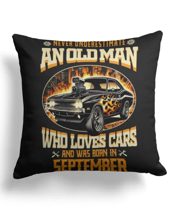 Cotton Drill Pillow (Dual Sided)