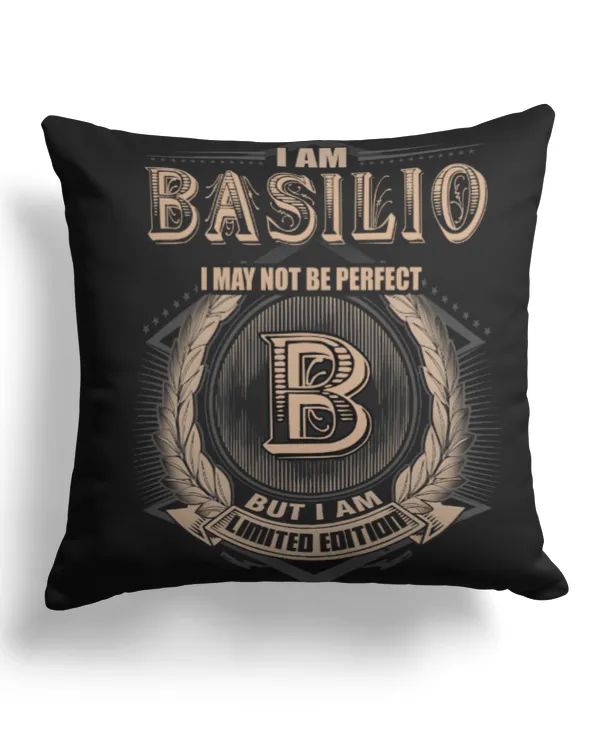 Cotton Drill Pillow (Dual Sided)