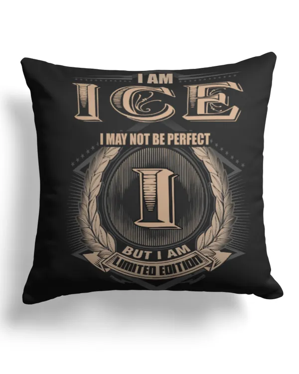 Cotton Drill Pillow (Dual Sided)
