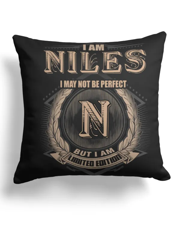 Cotton Drill Pillow (Dual Sided)