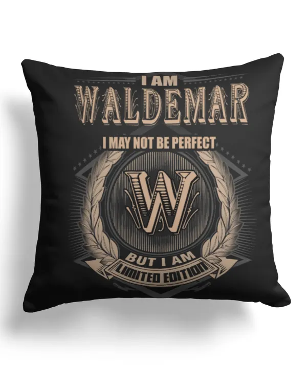 Cotton Drill Pillow (Dual Sided)