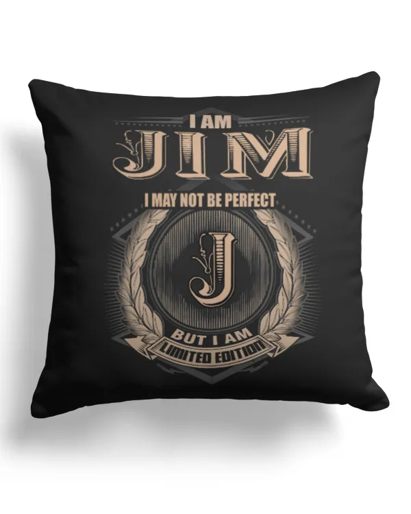 Cotton Drill Pillow (Dual Sided)