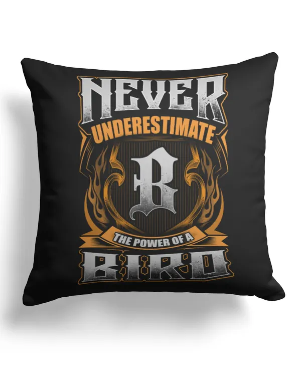 Cotton Drill Pillow (Dual Sided)