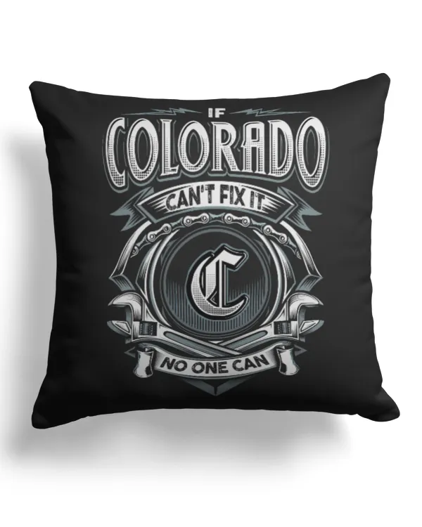 Cotton Drill Pillow (Dual Sided)