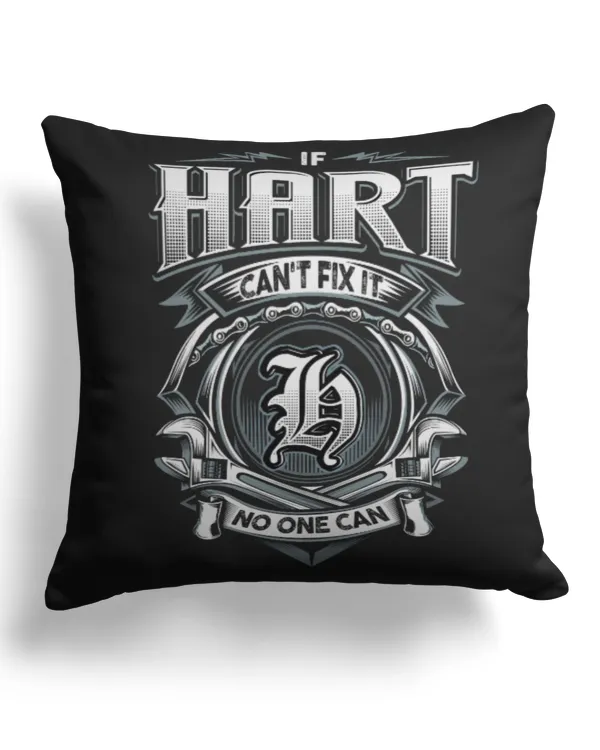 Cotton Drill Pillow (Dual Sided)
