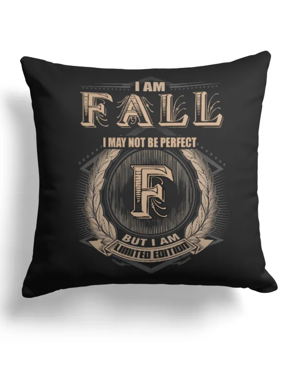 Cotton Drill Pillow (Dual Sided)