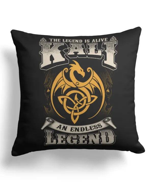 Cotton Drill Pillow (Dual Sided)