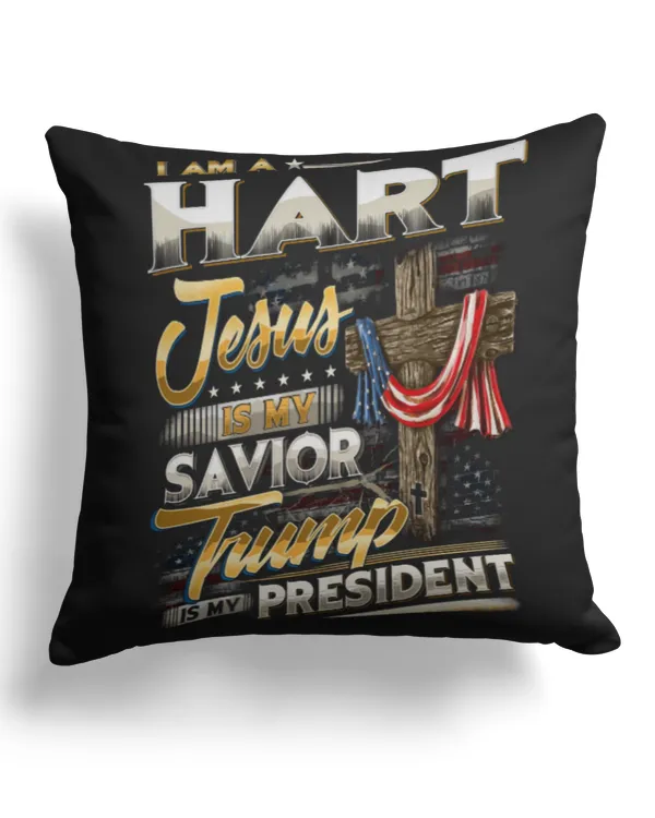 Cotton Drill Pillow (Dual Sided)