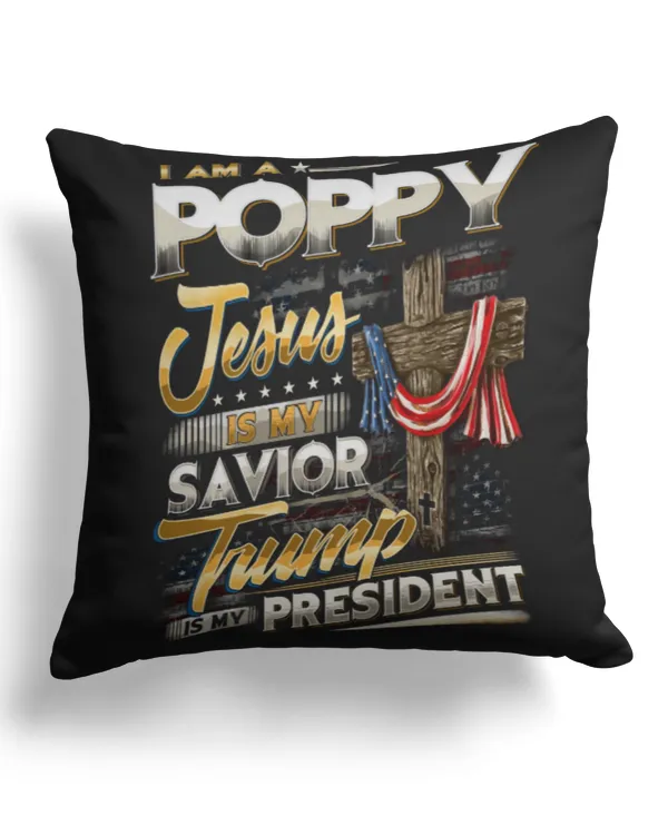 Cotton Drill Pillow (Dual Sided)