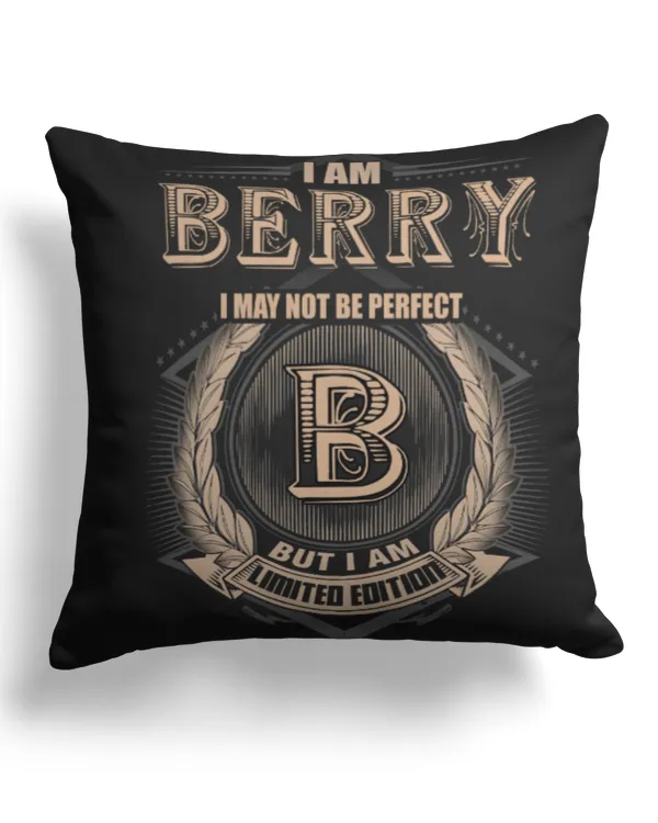 Cotton Drill Pillow (Dual Sided)