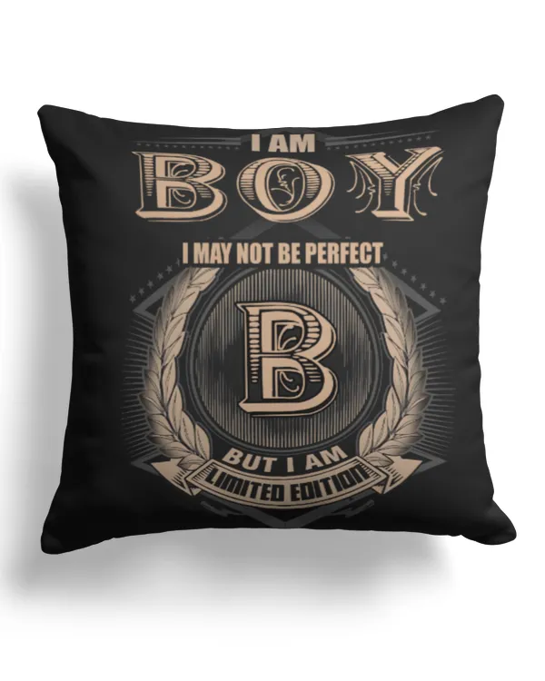 Cotton Drill Pillow (Dual Sided)