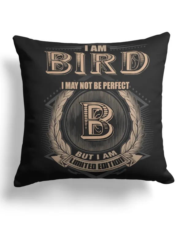 Cotton Drill Pillow (Dual Sided)