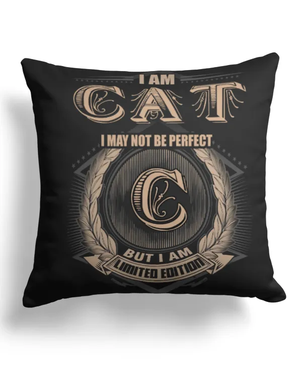 Cotton Drill Pillow (Dual Sided)