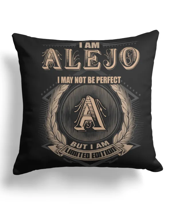 Cotton Drill Pillow (Dual Sided)