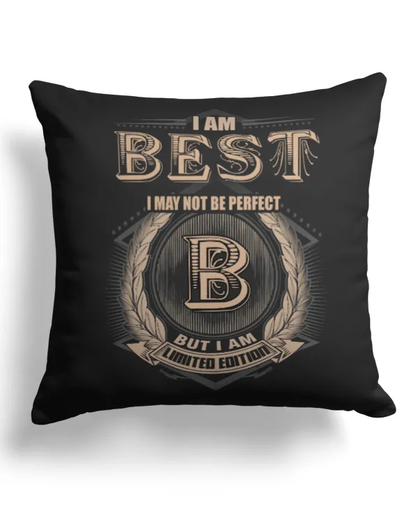 Cotton Drill Pillow (Dual Sided)