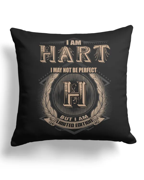 Cotton Drill Pillow (Dual Sided)