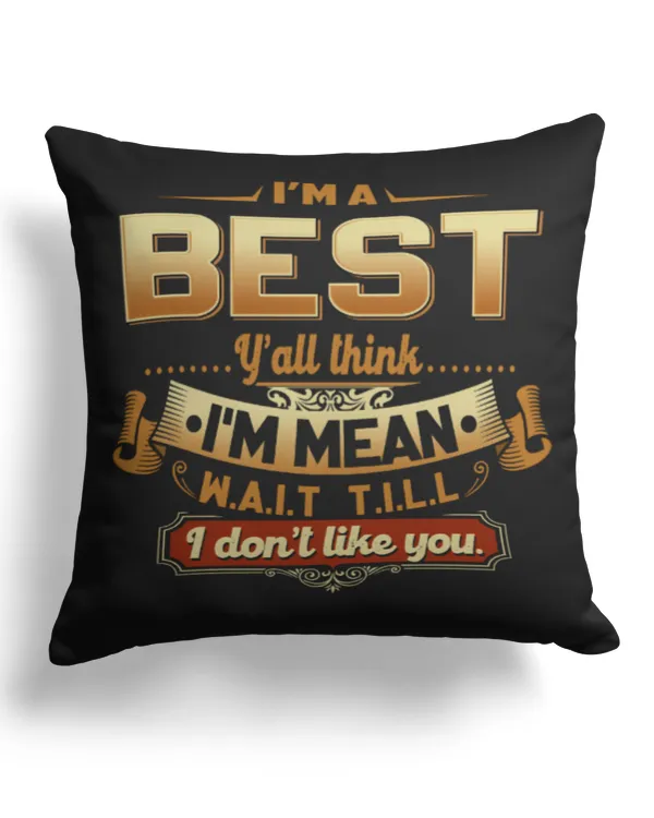 Cotton Drill Pillow (Dual Sided)
