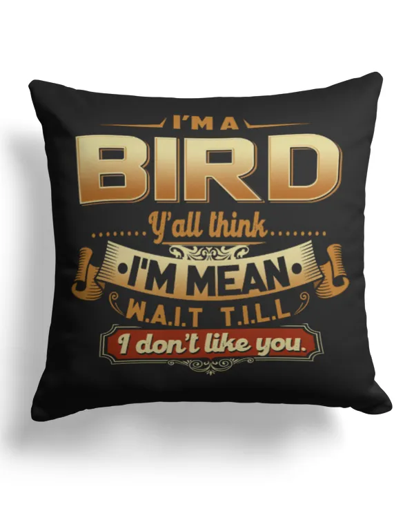 Cotton Drill Pillow (Dual Sided)