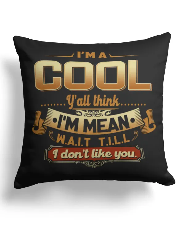 Cotton Drill Pillow (Dual Sided)