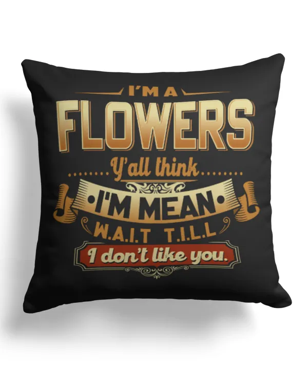 Cotton Drill Pillow (Dual Sided)