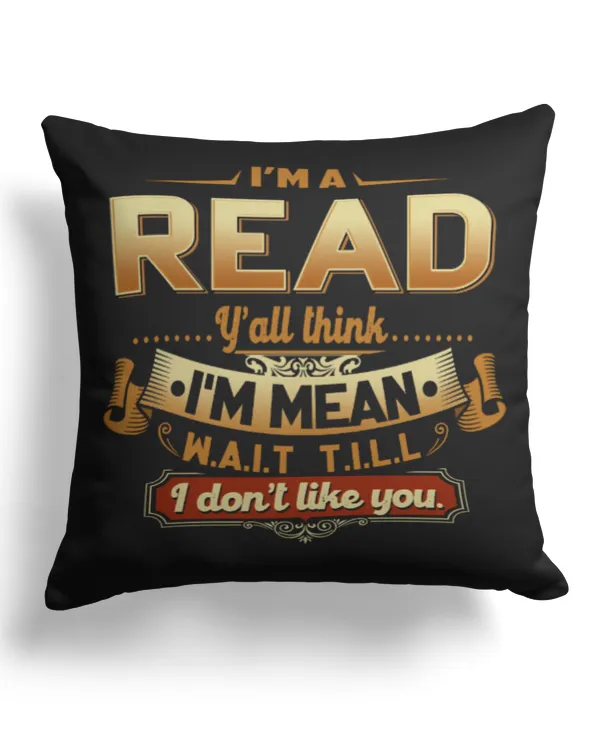 Cotton Drill Pillow (Dual Sided)