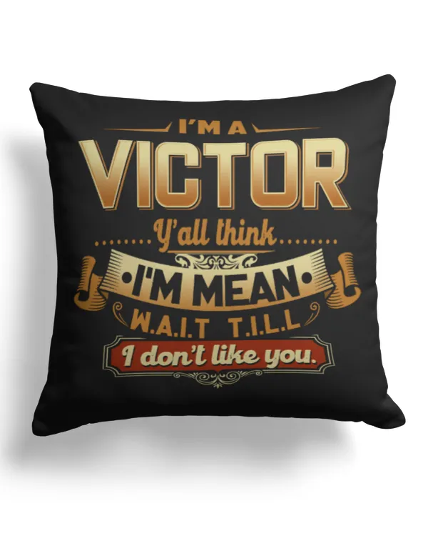 Cotton Drill Pillow (Dual Sided)