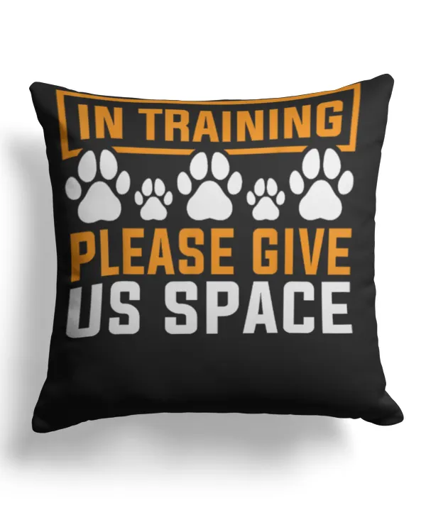 Cotton Drill Pillow (Dual Sided)