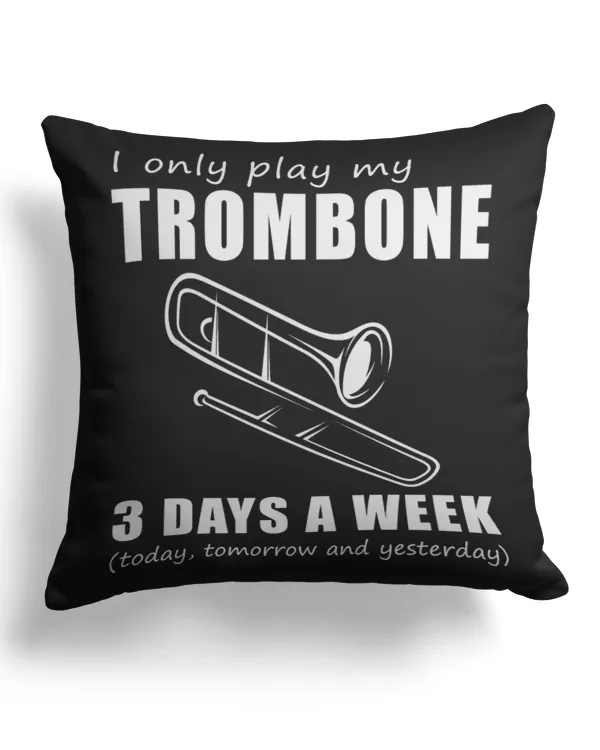 Cotton Drill Pillow (Dual Sided)
