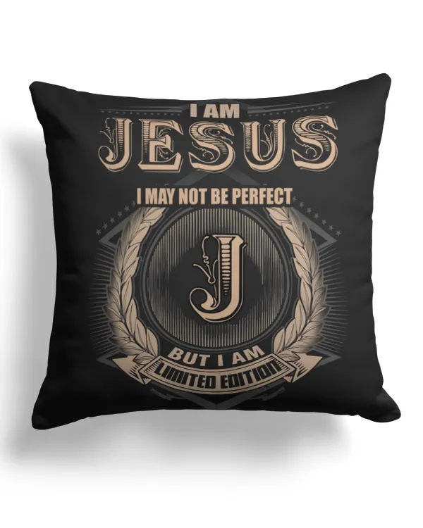 Cotton Drill Pillow (Dual Sided)