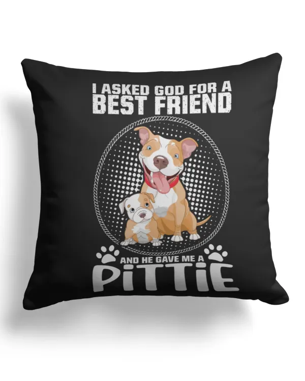 Cotton Drill Pillow (Dual Sided)