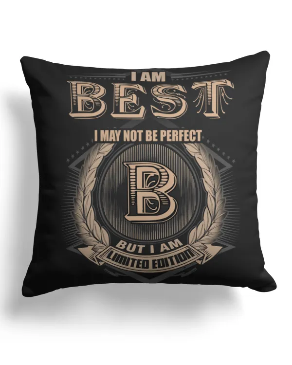 Cotton Drill Pillow (Dual Sided)