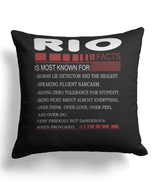 Cotton Drill Pillow (Dual Sided)