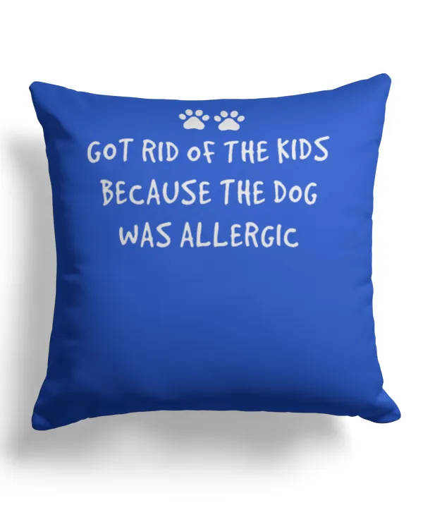 Cotton Drill Pillow (Dual Sided)