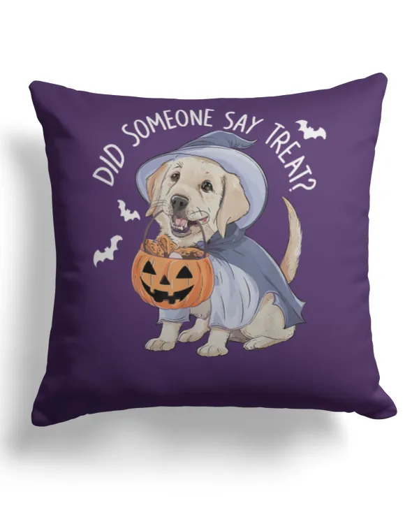 Cotton Drill Pillow (Dual Sided)