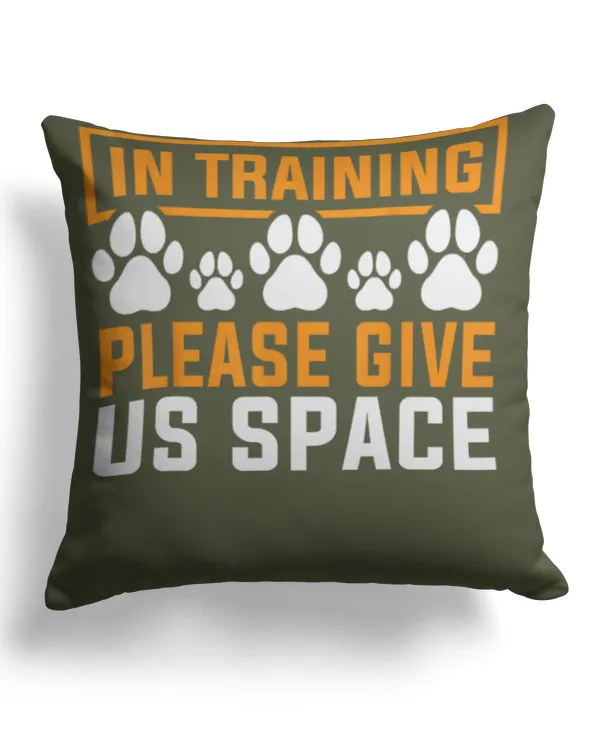 Cotton Drill Pillow (Dual Sided)