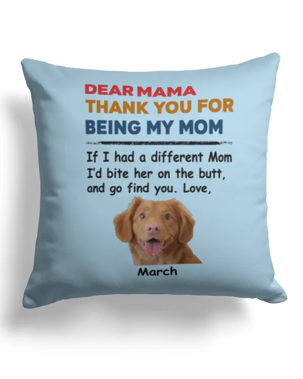 Cotton Drill Pillow (Dual Sided)
