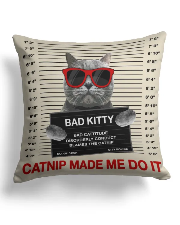 Cotton Drill Pillow (Dual Sided)