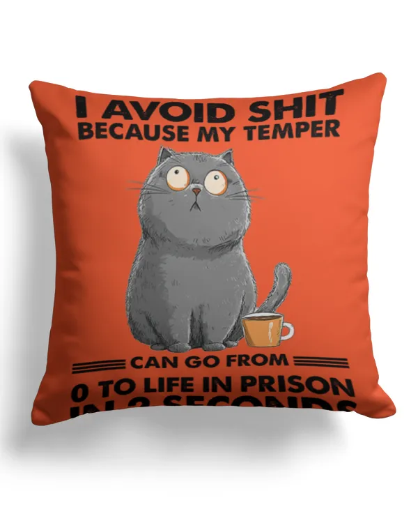 Cotton Drill Pillow (Dual Sided)