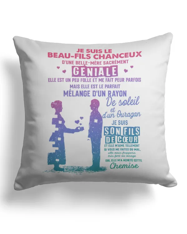 Cotton Drill Pillow (Dual Sided)