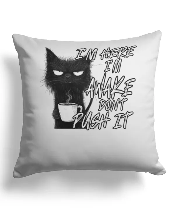 Cotton Drill Pillow (Dual Sided)