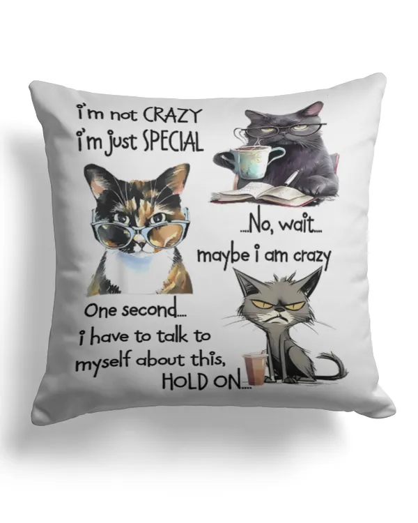 Cotton Drill Pillow (Dual Sided)